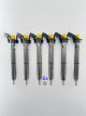 6X INJEKTOR 059130277AB 059130277 Audi A4 A6 A8 3,0TDI 0445115037 0445115024